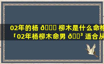 02年的杨 💐 柳木是什么命格「02年杨柳木命男 🌳 适合从事什么职业」